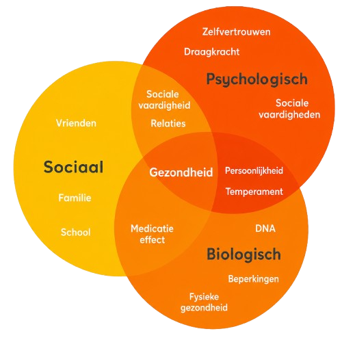 BPS model